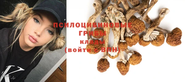 мескалин Балахна